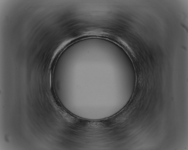 X0000097611323200802290746
