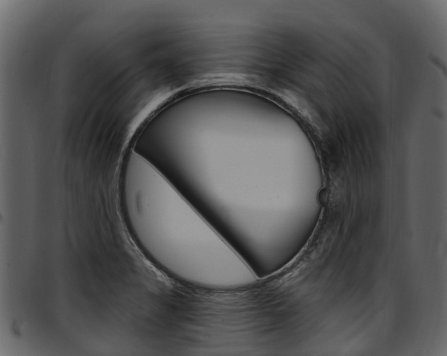 X0000097611325200802290746
