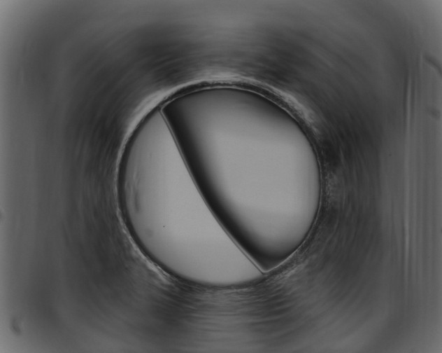 X0000097611327200802290746