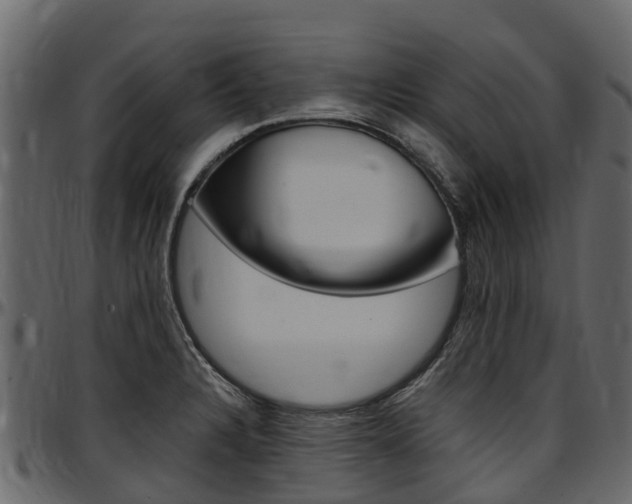 X0000097611328200802290746