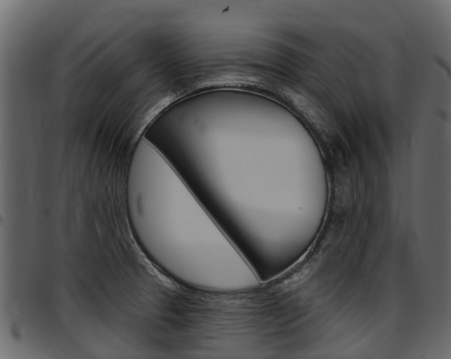 X0000097611329200802290746