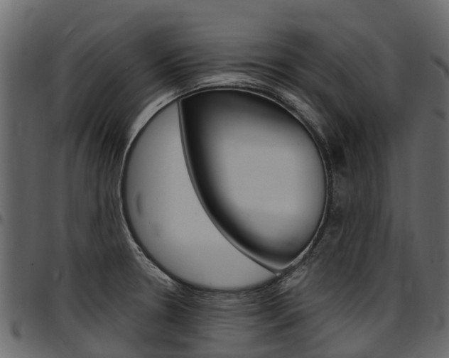 X0000097611330200802290746
