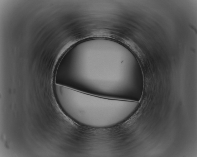 X0000097611331200802290746