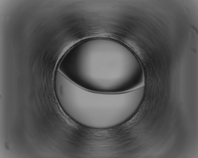 X0000097611332200802290747