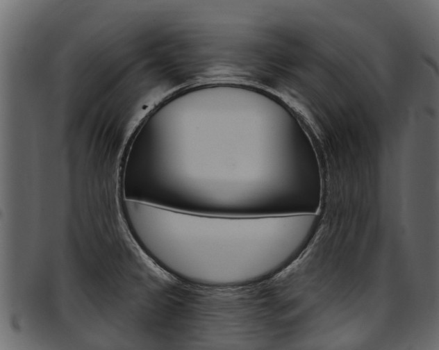 X0000097611333200802290747