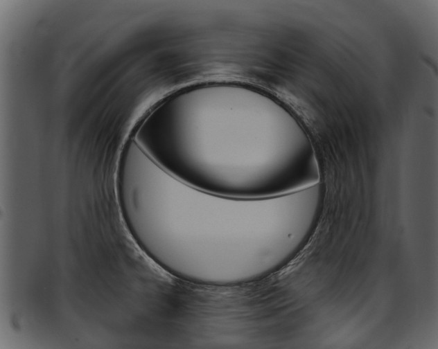 X0000097611334200802290747