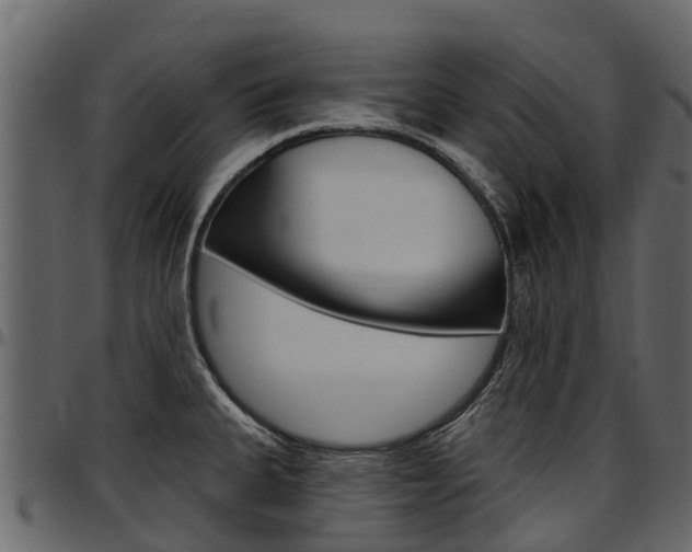 X0000097611335200802290747
