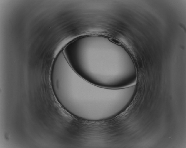 X0000097611336200802290747