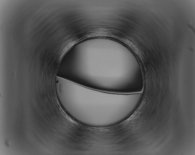 X0000097611337200802290747