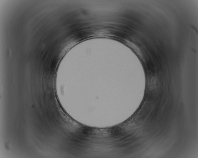 X0000097611338200802290747