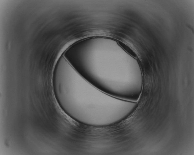 X0000097611339200802290747