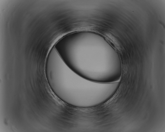 X0000097611340200802290747