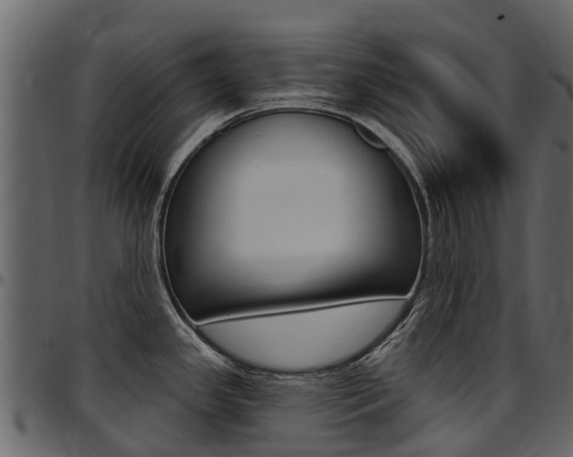 X0000097611341200802290747