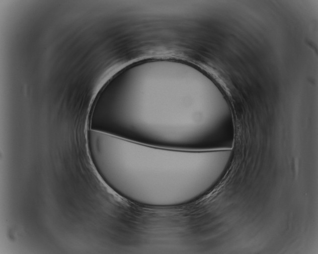 X0000097611343200802290747