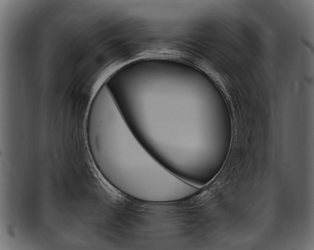 X0000097611344200802290747