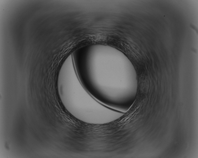 X0000097611345200802290746