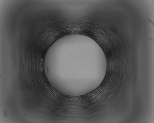 X0000097611346200802290746