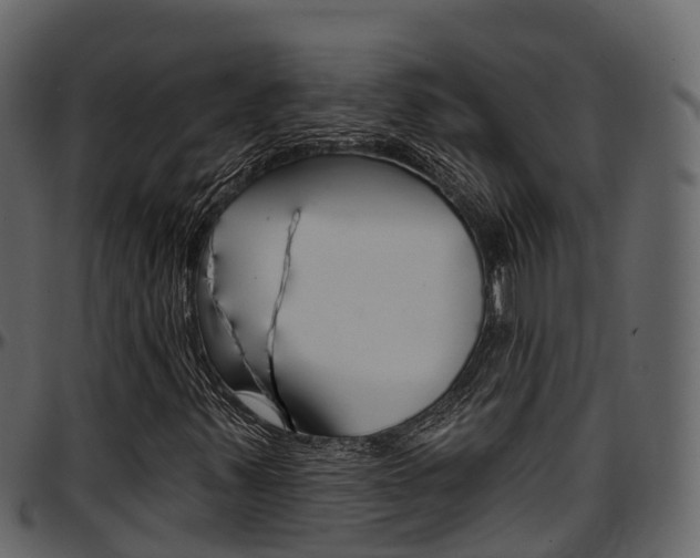 X0000097611347200802290746