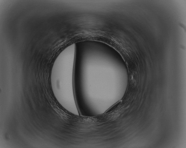 X0000097611348200802290746