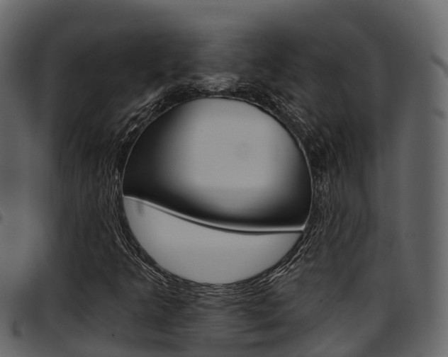 X0000097611349200802290746