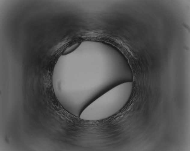 X0000097611350200802290746