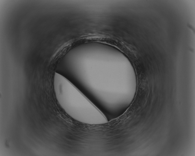 X0000097611351200802290746