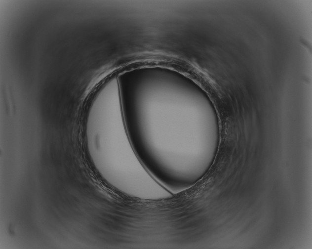 X0000097611352200802290746