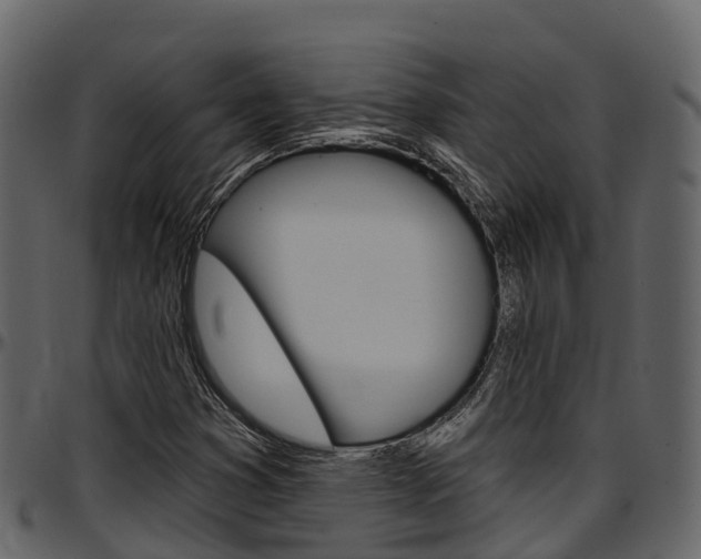 X0000097611353200802290746