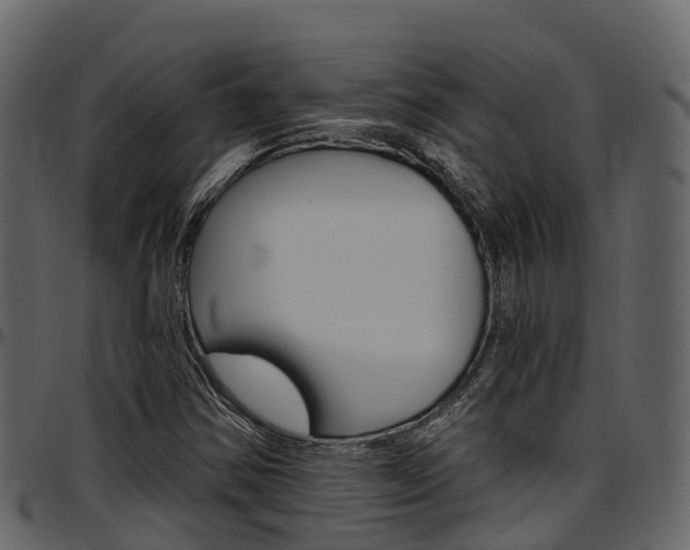 X0000097611354200802290746