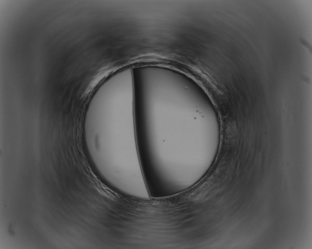 X0000097611355200802290746