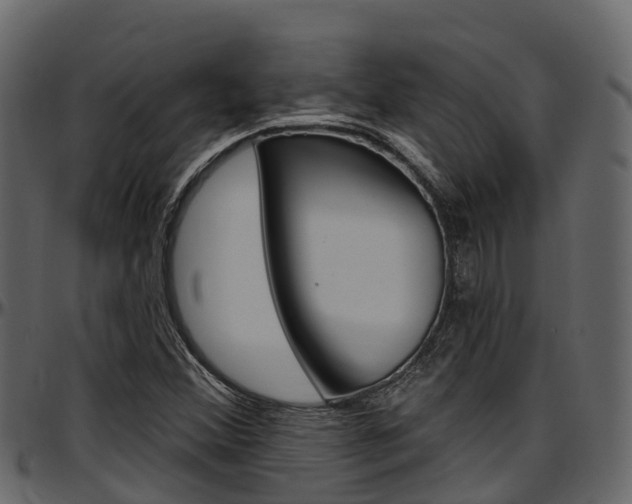 X0000097611356200802290746