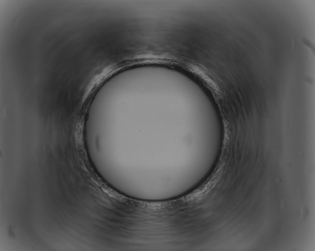 X0000097611357200802290746