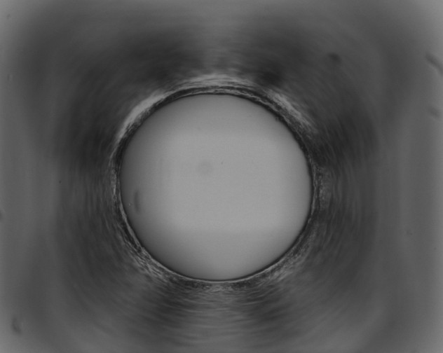 X0000097611358200802290746