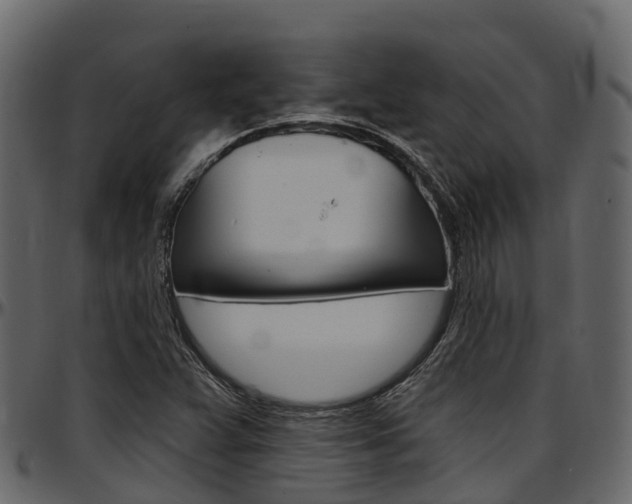 X0000097611359200802290746