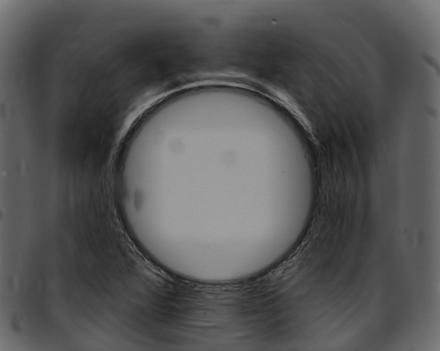 X0000097611360200802290746