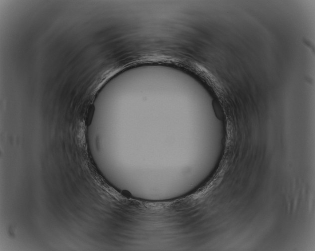X0000097611361200802290746