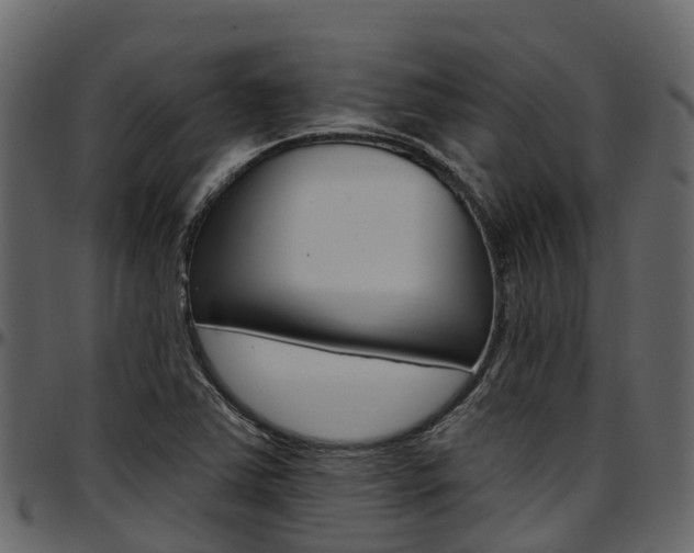 X0000097611363200802290746