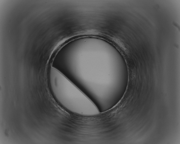X0000097611364200802290746