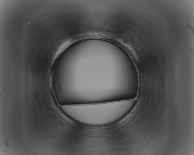 X0000097611365200802290746