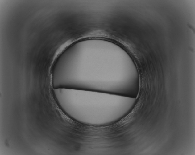 X0000097611366200802290746