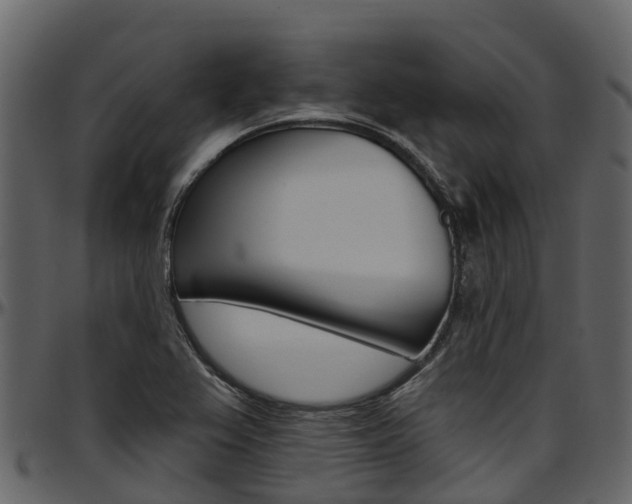 X0000097611367200802290746