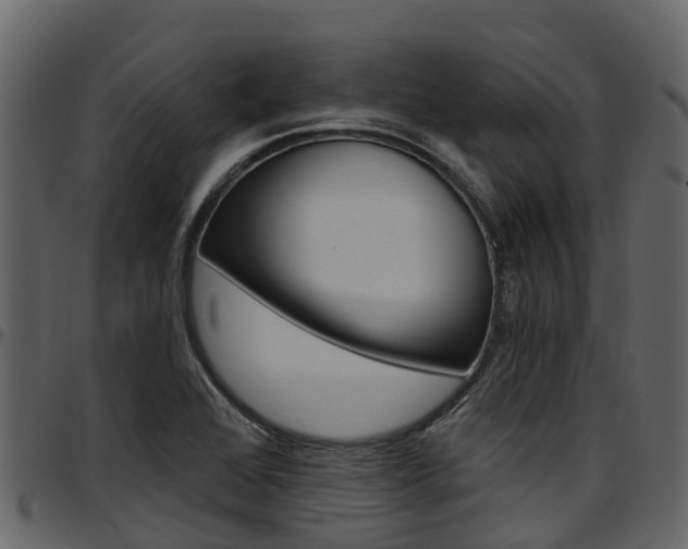 X0000097611368200802290746