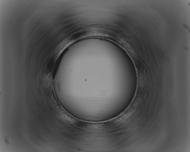 X0000097611369200802290746