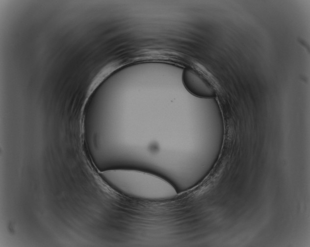 X0000097611370200802290746