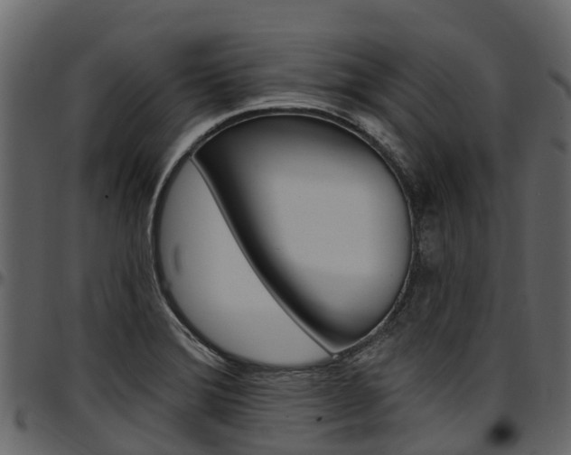 X0000097611372200802290746