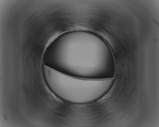 X0000097611373200802290746