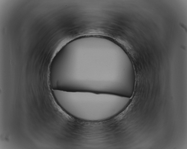 X0000097611374200802290745