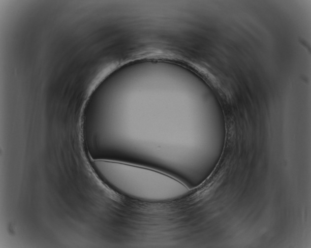 X0000097611375200802290745