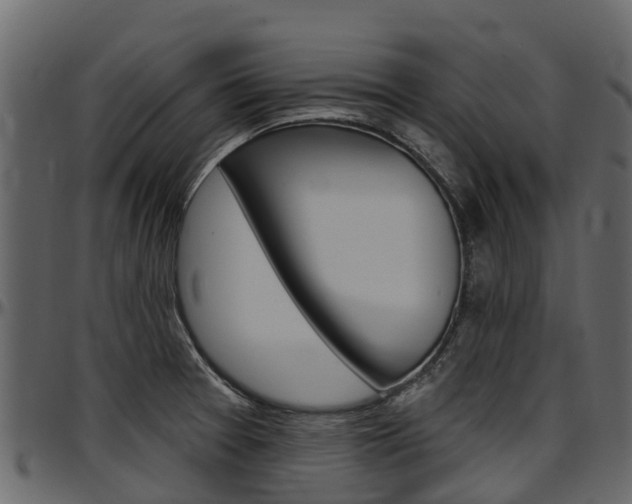 X0000097611377200802290745