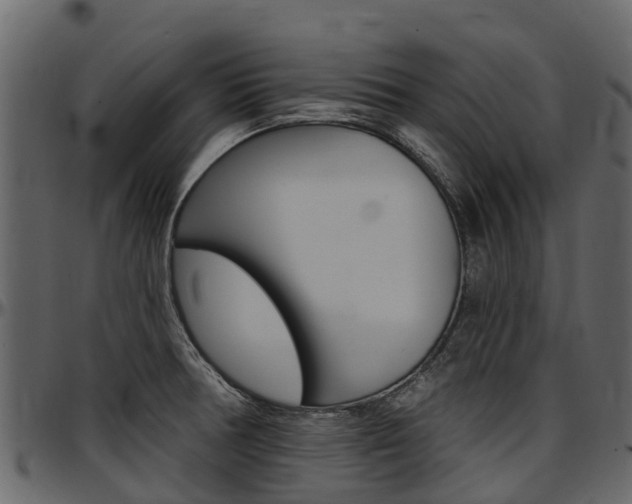 X0000097611378200802290745